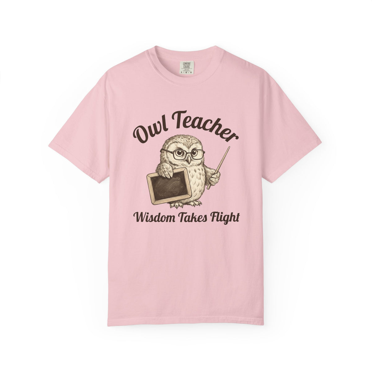 Owl Instructor Shirt Teacher Pet Unisex Gift Line Art Tee Owl Teacher T-Shirt