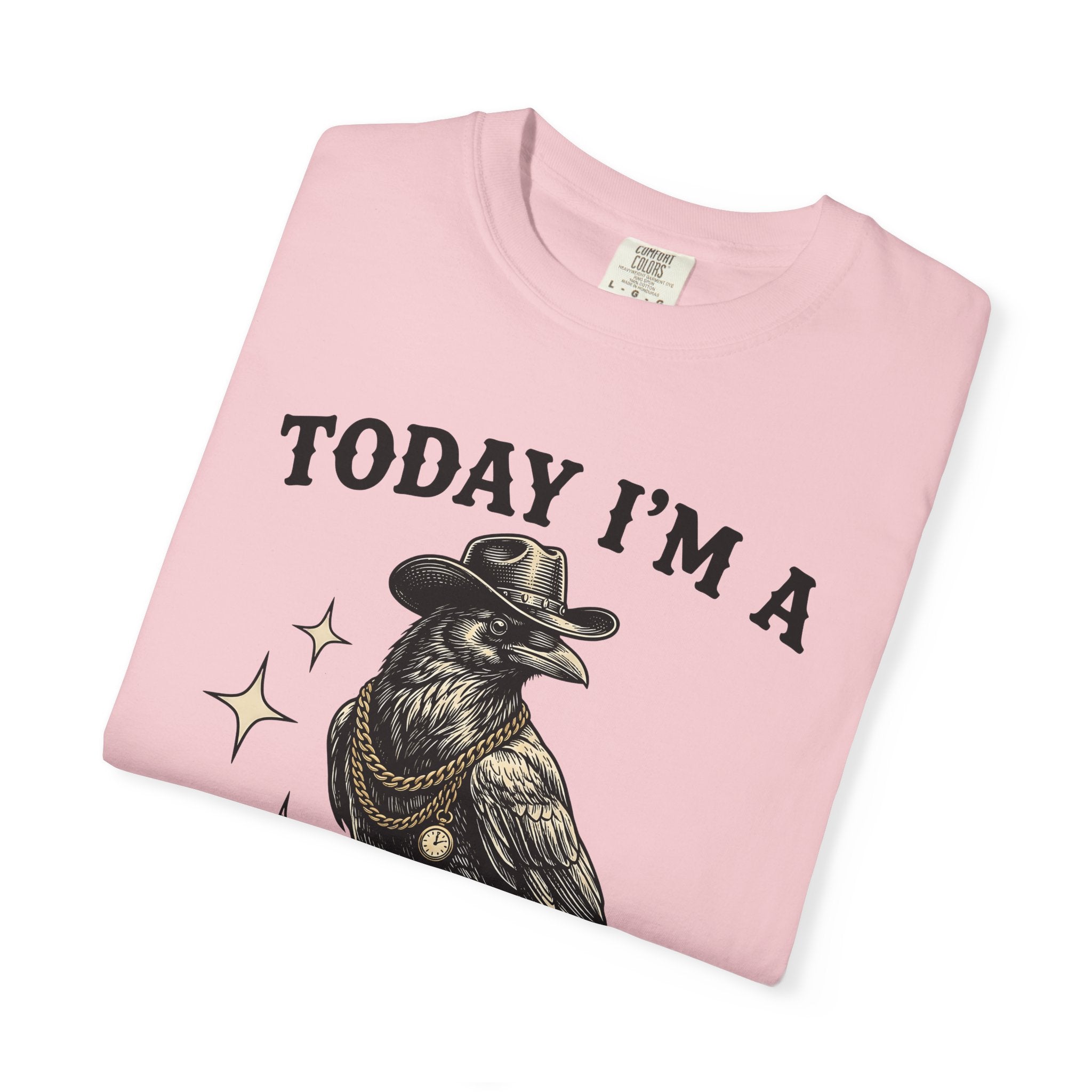 Country Crow Shirt Funny Bird Gift Women Old School Tee Crow T-Shirt Humor Fan Retro Tshirt Bird Graphic Cartoon Jewelry Chain Tshirt
