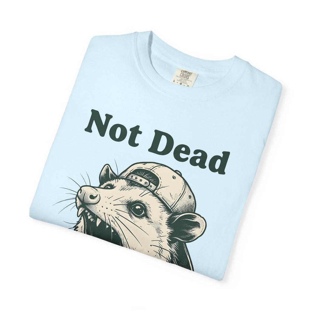 Possum Cap Shirt Funny Creatures Gift Women Illustration Tee Opossum T-Shirt Humor Fan Graphic Tshirt Animal Graphic Art Print Sporty Hat