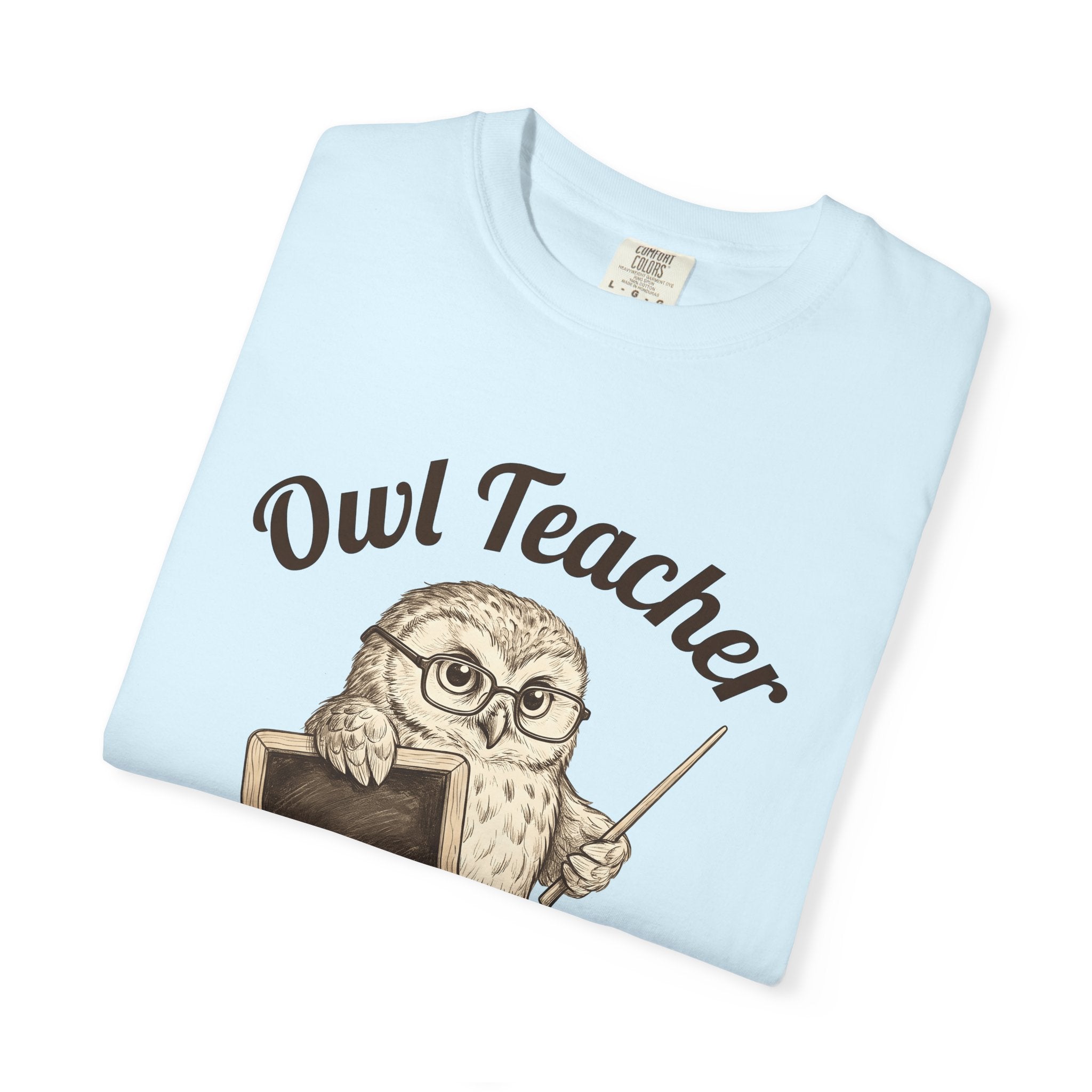 Owl Instructor Shirt Teacher Pet Gift Women Line Art Tee Owl Teacher T-Shirt Educator Enthusiast Illustration Graphic Drawing Hand Drawn
