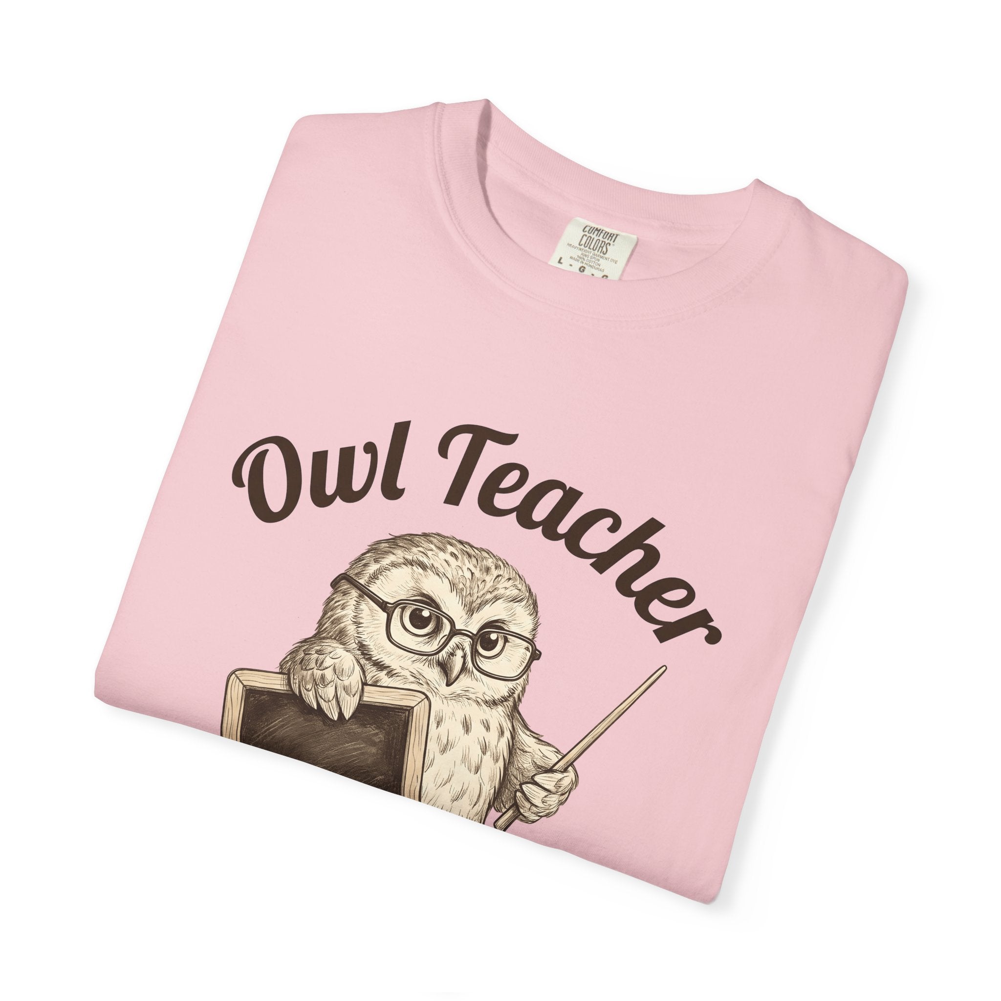 Owl Instructor Shirt Teacher Pet Gift Women Line Art Tee Owl Teacher T-Shirt Educator Enthusiast Illustration Graphic Drawing Hand Drawn