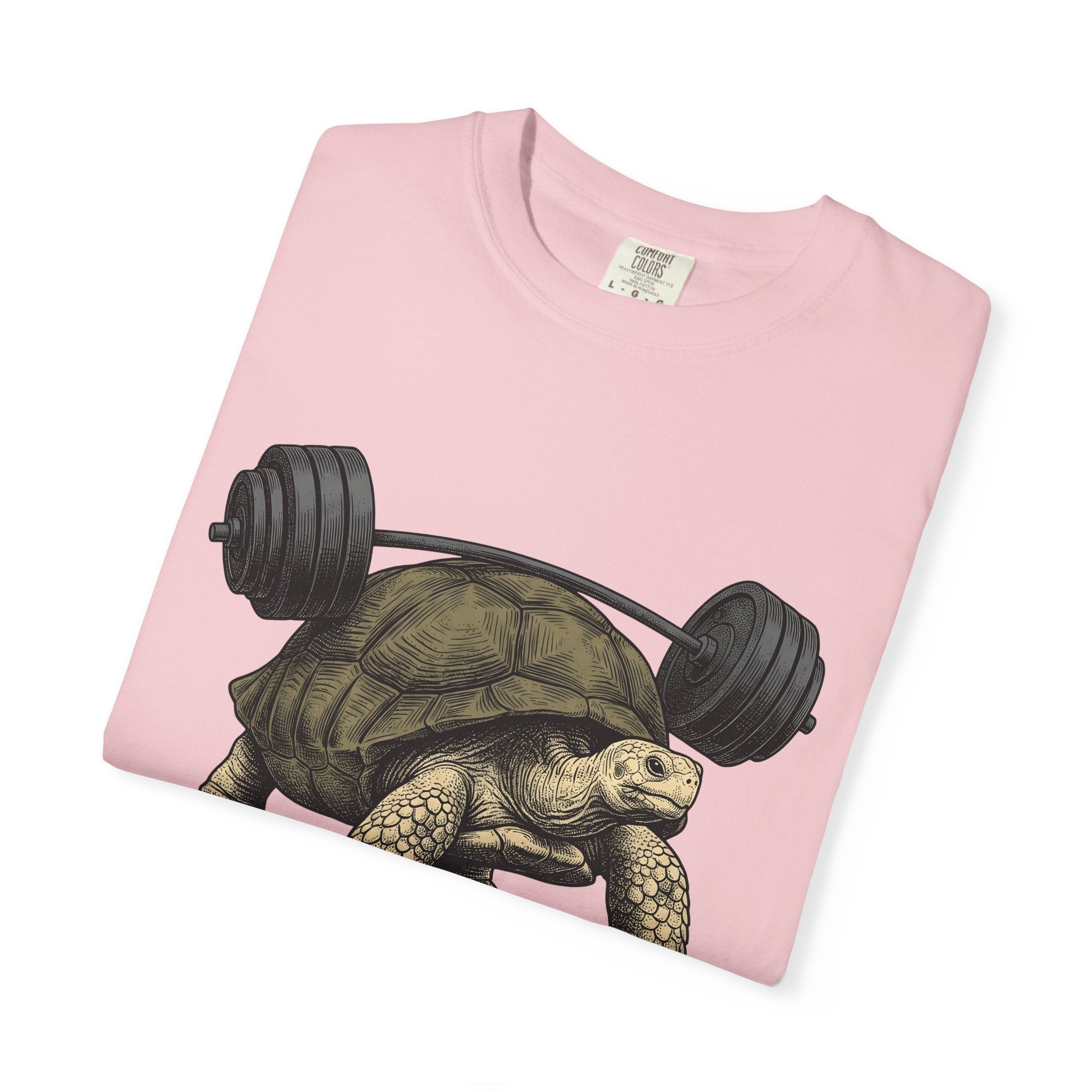 Tortoise Barbell Shirt Animals Fitness Gift Women Vintage Tee Dumbbell T-Shirt Pet Enthusiast Retro Tshirt Fitness Graphic Hand Drawn