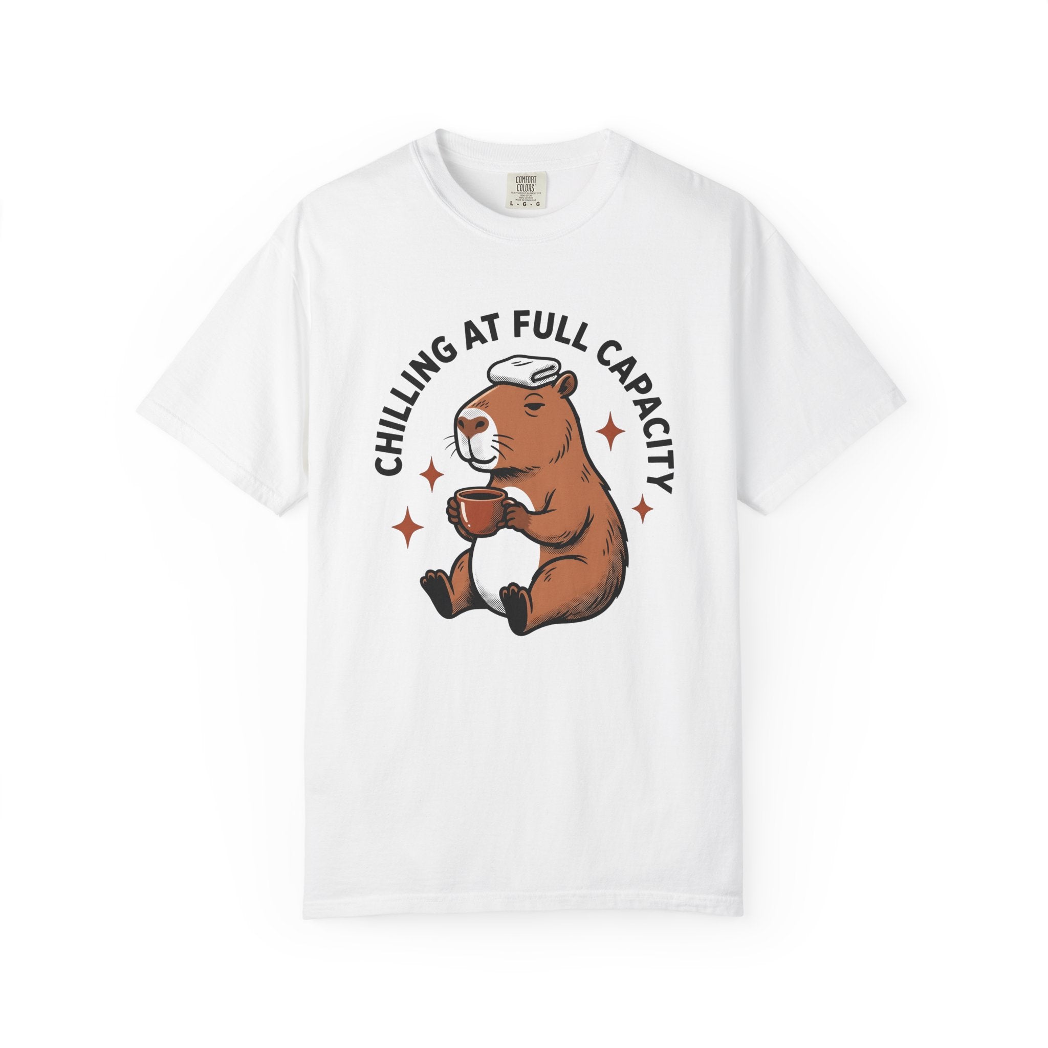 Capybara Latte Shirt Coffee Pets Gift Women Comic Strip Tee Rodent T-Shirt Coffee Fan Cartoon Tshirt Animal Graphic Classic Twinkles Tshirt