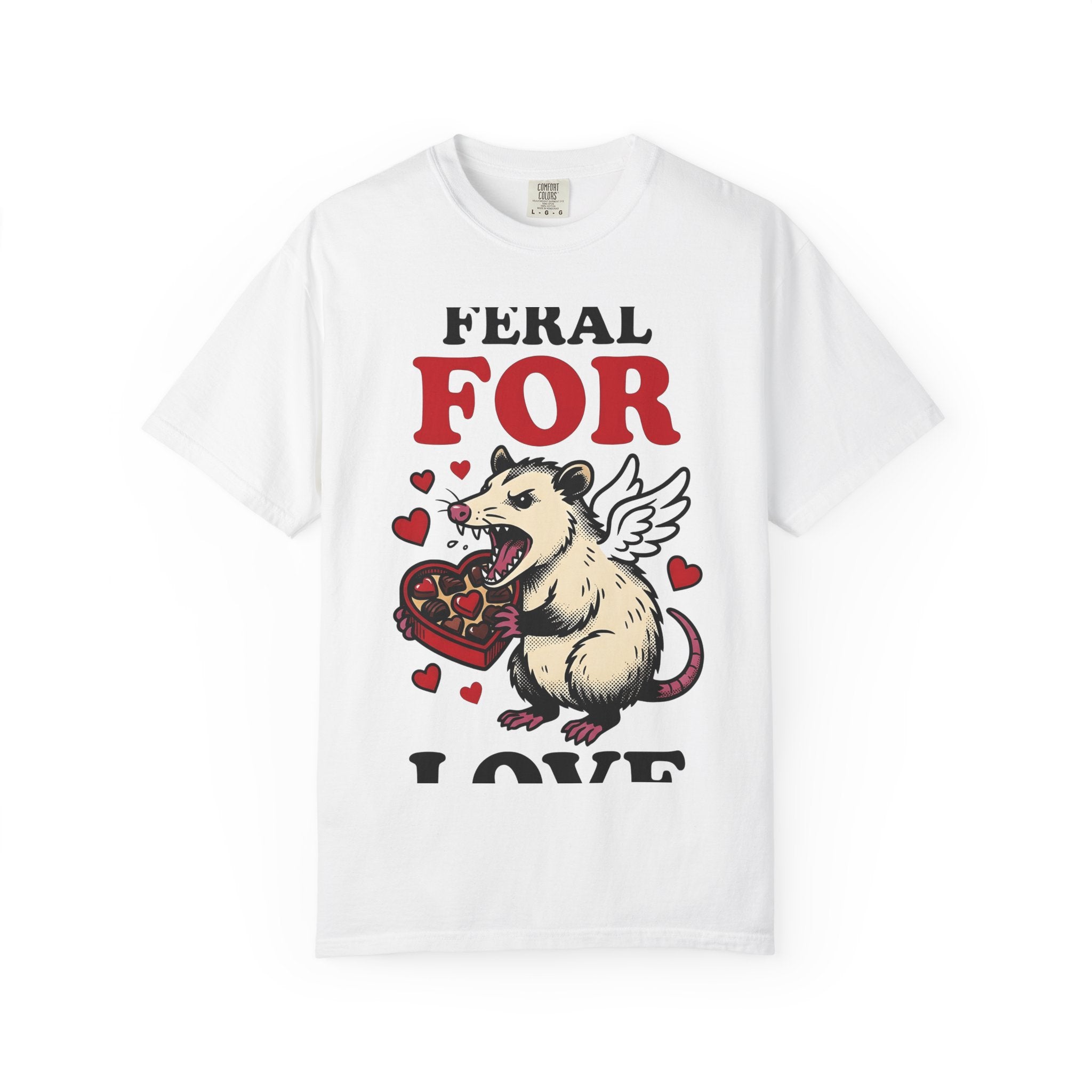 Opossum Wings Shirt St. Valentine's Day Wildlife Gift Women Animated Tee Possum T-Shirt Valentine Fan Cartoon Tshirt Animal Graphic Hand