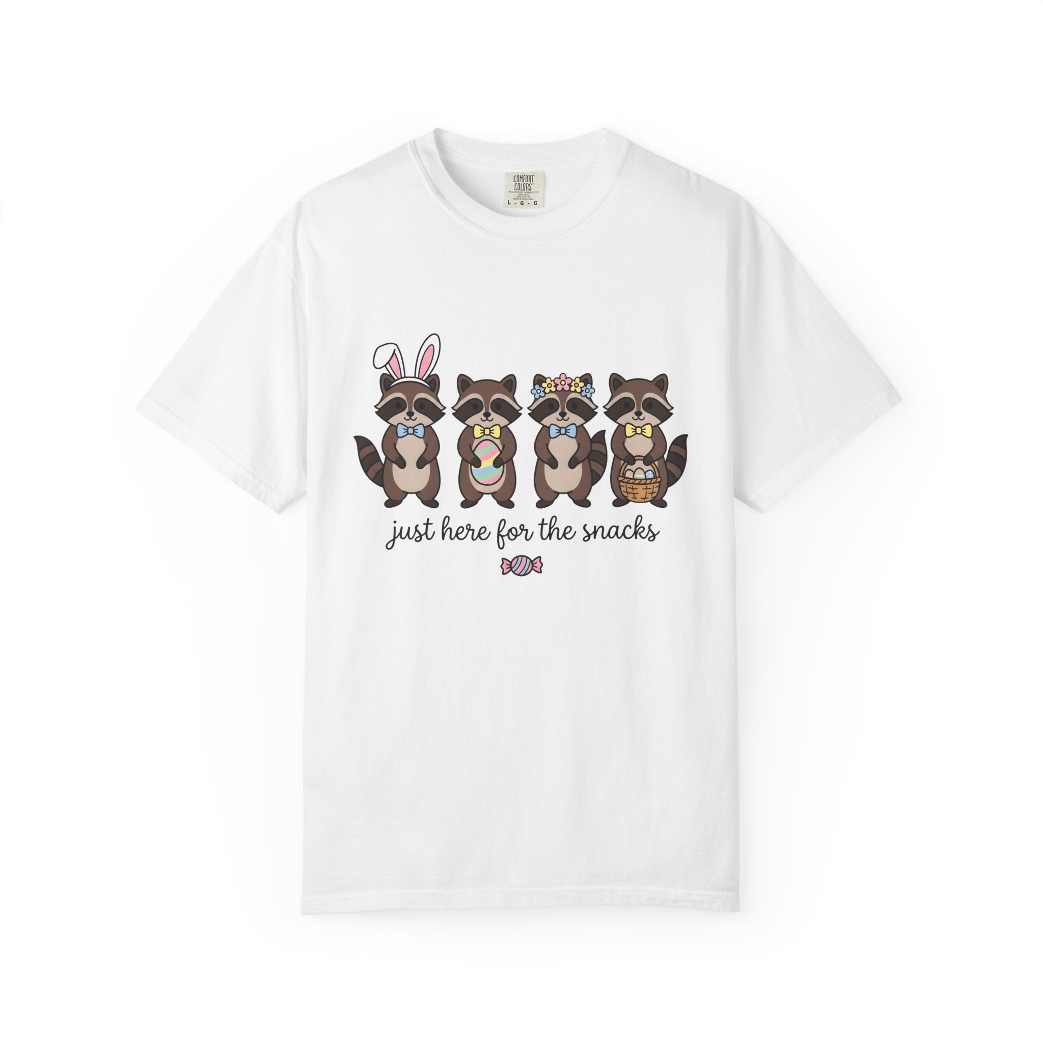 Raccoon Family Shirt Easter Pets Gift Women Sweet Tee Raccoon T-Shirt Easter Fan Trash Panda Tshirt Animal Graphic Animation Easter Egg