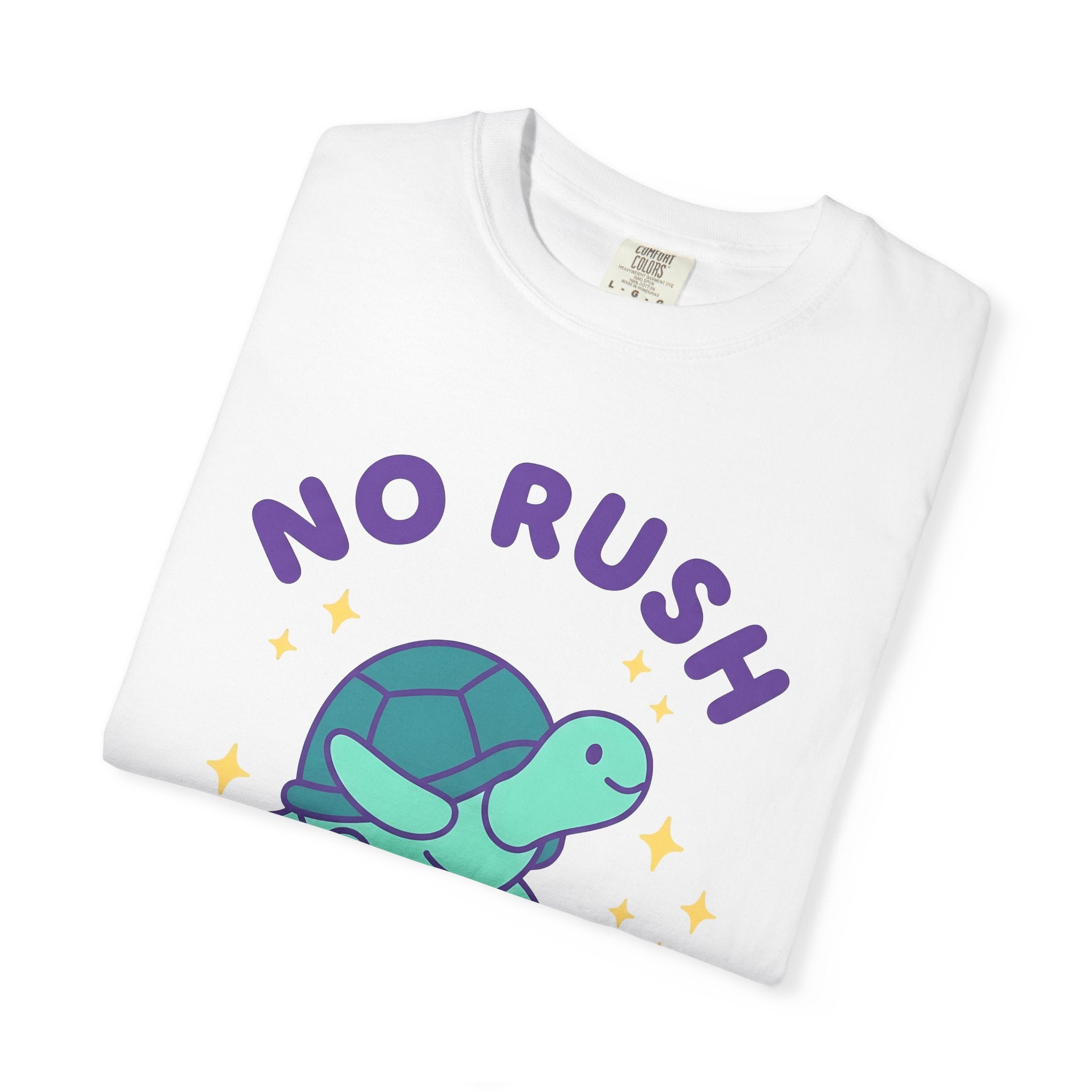 Turtle Skateboard Shirt Funny Animal Gift Women Cartoon Tee Skateboarding T-Shirt Humor Fan Comic Tshirt Wildlife Graphic Retro Stars Tshirt