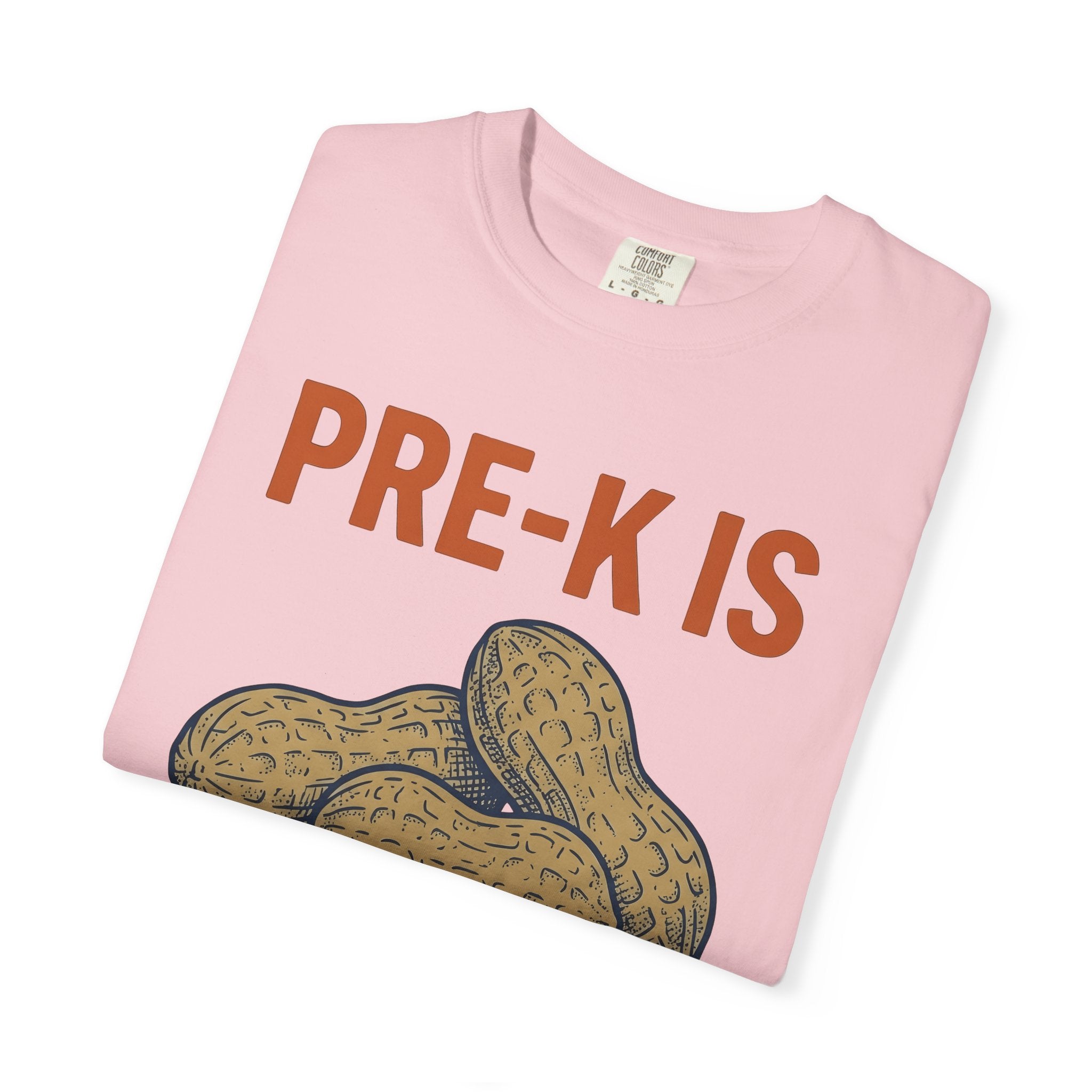 Peanut Graphic Shirt Teacher School Gift Women Playful Tee Nut T-Shirt Educator Enthusiast Fun Tshirt Classroom Graphic Retro Food Tshirt