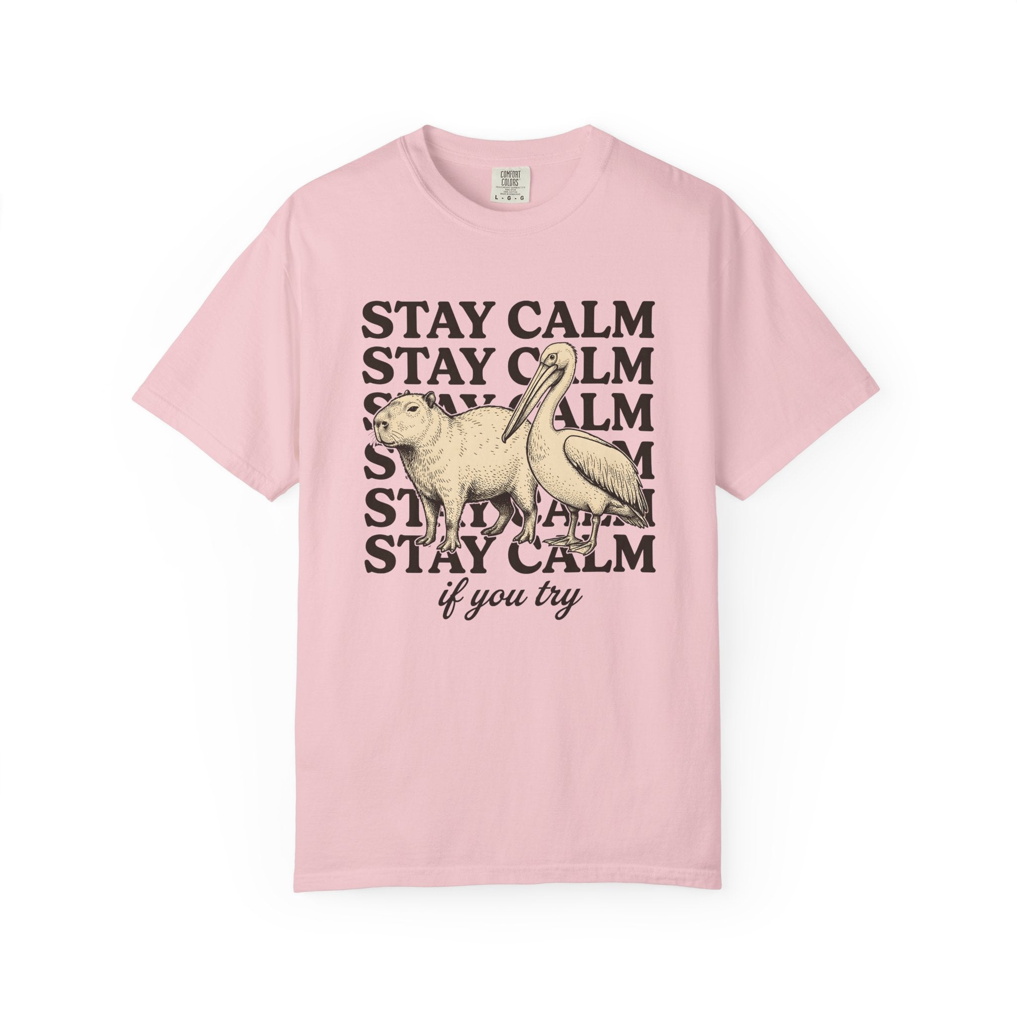 Capybara Bird Shirt Funny Wildlife Gift Women Retro Tee Rodent T-Shirt Comedy Fan Vintage Tshirt Wildlife Graphic Sketch Animal Pair Tshirt