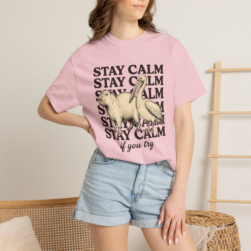 Capybara Bird Shirt Funny Wildlife Gift Women Retro Tee Rodent T-Shirt Comedy Fan Vintage Tshirt Wildlife Graphic Sketch Animal Pair Tshirt