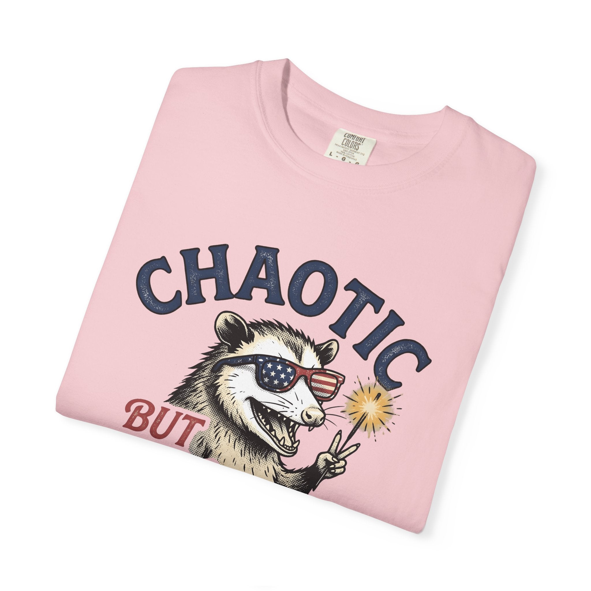 Opossum Sunnies Shirt 4th Of July Freedom Gift Women Old School Tee Possum T-Shirt Patriot Fan Vintage Tshirt Liberty Graphic Ink Flare
