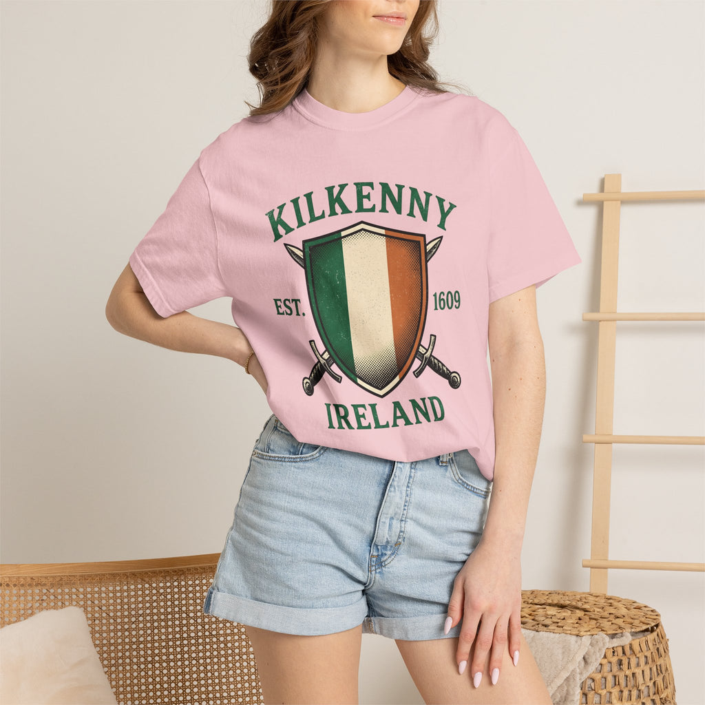Irish Coat Shield Shirt St Patrick's Day Lineage Gift Women Hand Drawn Tee Crest T-Shirt Heritage Enthusiast Heraldic Tshirt Family Graphic