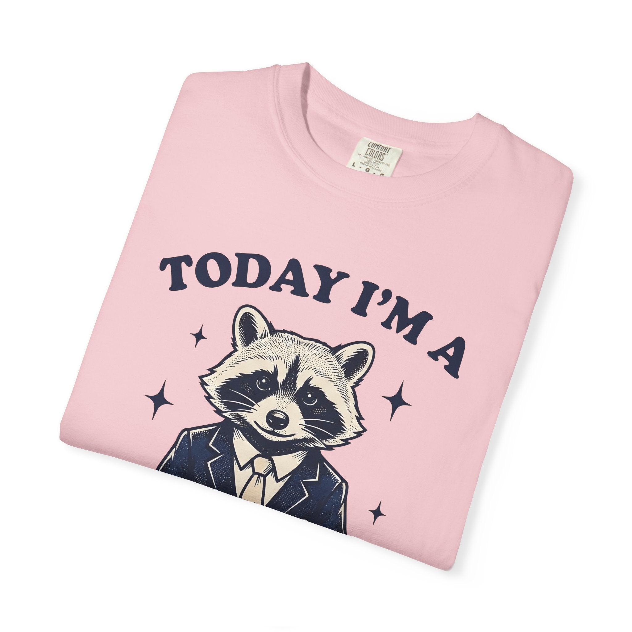 Raccoon Outfit Shirt Funny Fauna Gift Women Antique Tee Trash Panda T-Shirt Comedian Fan Vintage Tshirt Wildlife Graphic Line Art Star Icons