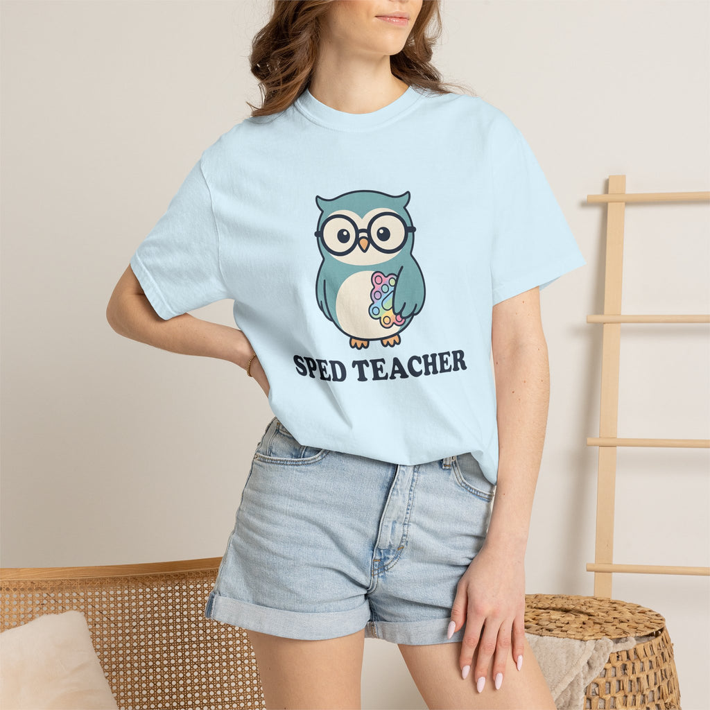 Owl Glasses Shirt Teachers Education Gift Women Cute Tee Spectacles T-Shirt Educator Enthusiast Kawaii Tshirt Learning Graphic Cartoon