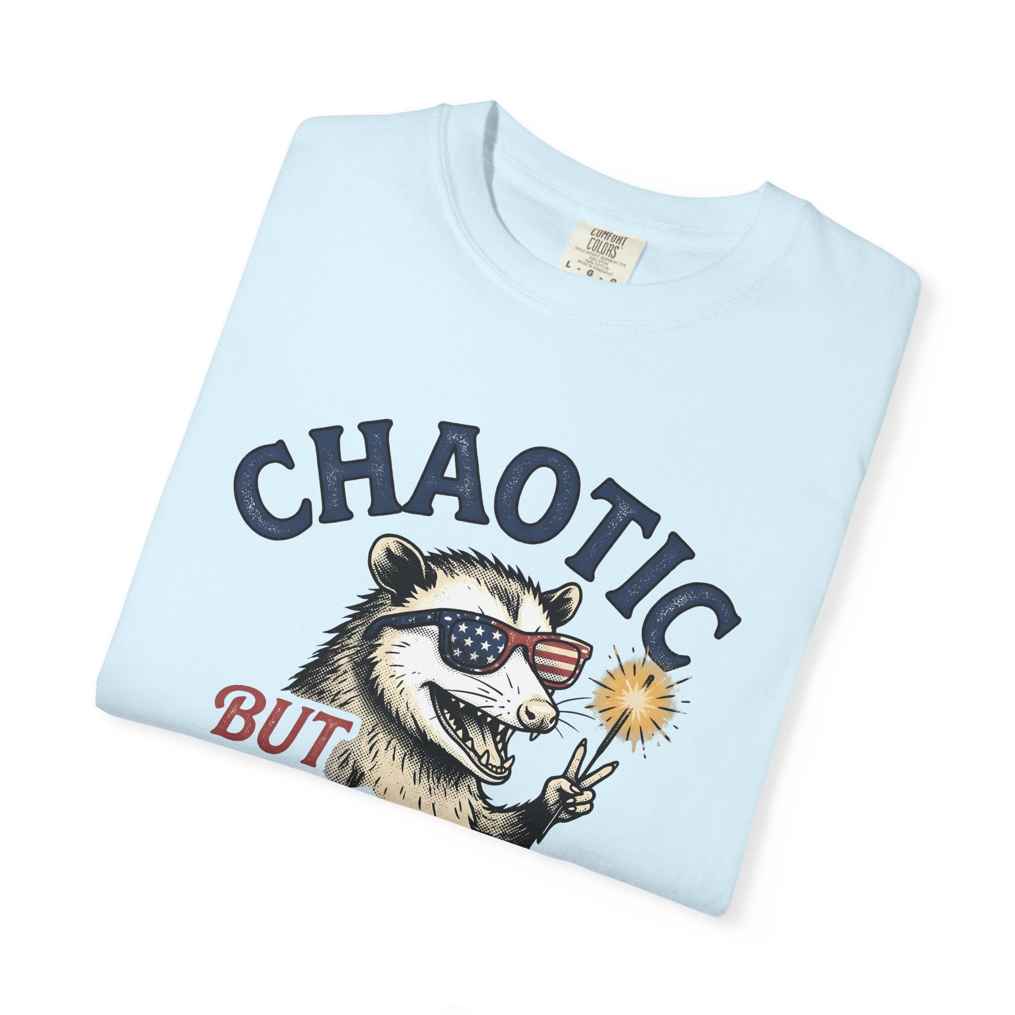 Opossum Sunnies Shirt 4th Of July Freedom Gift Women Old School Tee Possum T-Shirt Patriot Fan Vintage Tshirt Liberty Graphic Ink Flare