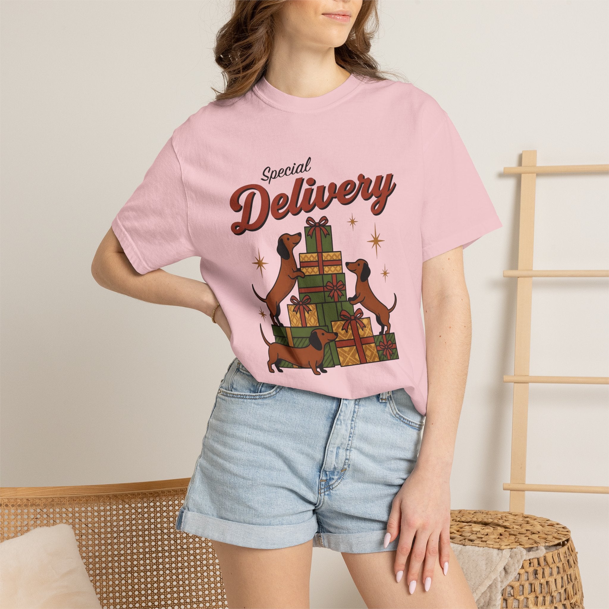 Dachshund Dogs Shirt Christmas Dog Gift Women Vintage Tee Wiener Dog T-Shirt Christmas Fan Doxie Graphic Retro Gift Boxes Tshirt