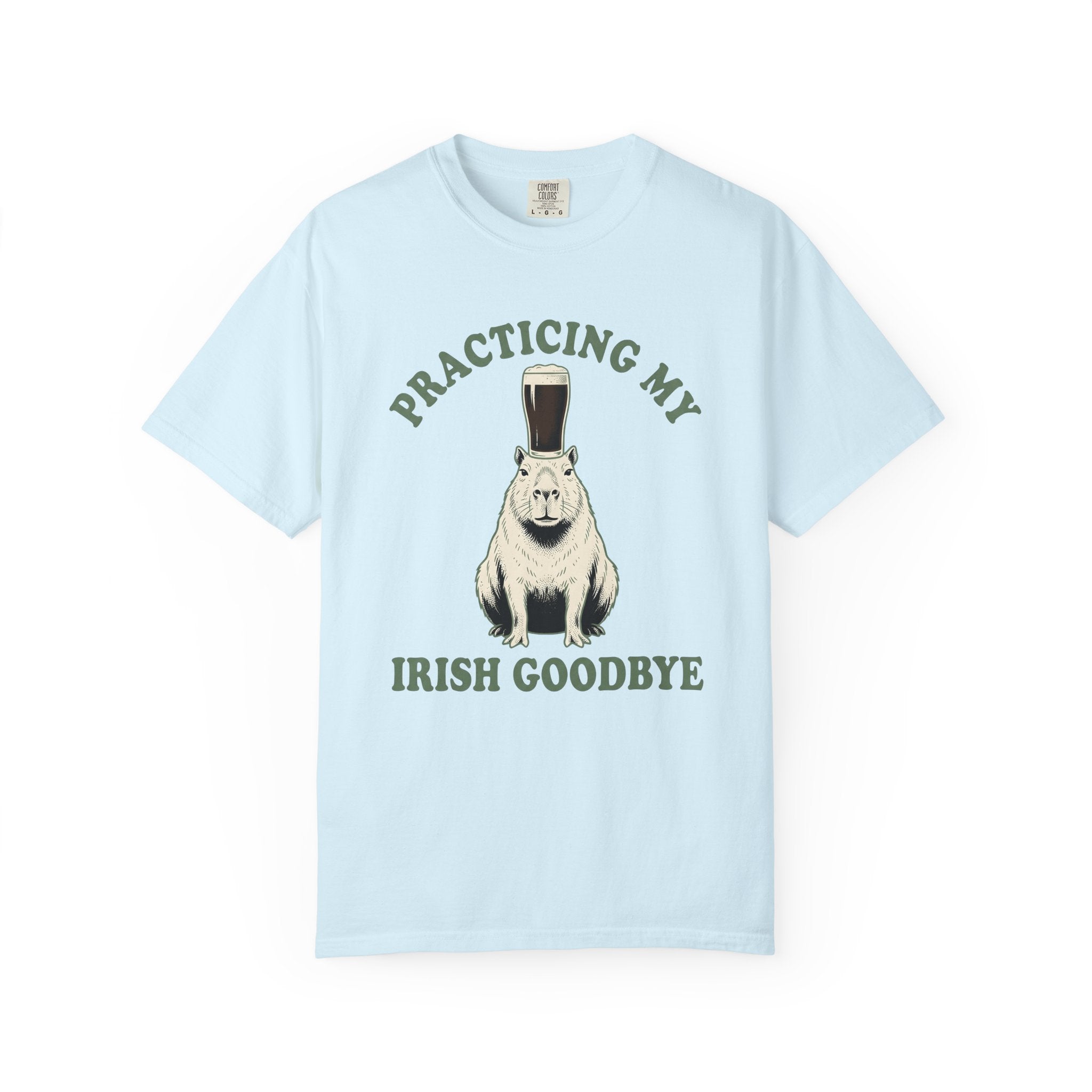 Capybara Ale Shirt St Patricks Day Pet Gift Women Retro Tee Rodent T-Shirt St Patricks Fan Vintage Tshirt Animal Graphic Sketch Beer Mug