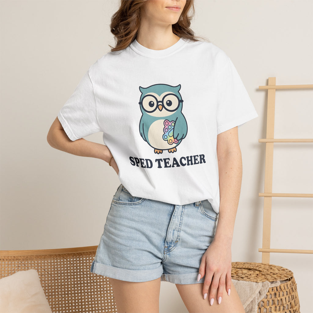 Owl Glasses Shirt Teachers Education Gift Women Cute Tee Spectacles T-Shirt Educator Enthusiast Kawaii Tshirt Learning Graphic Cartoon