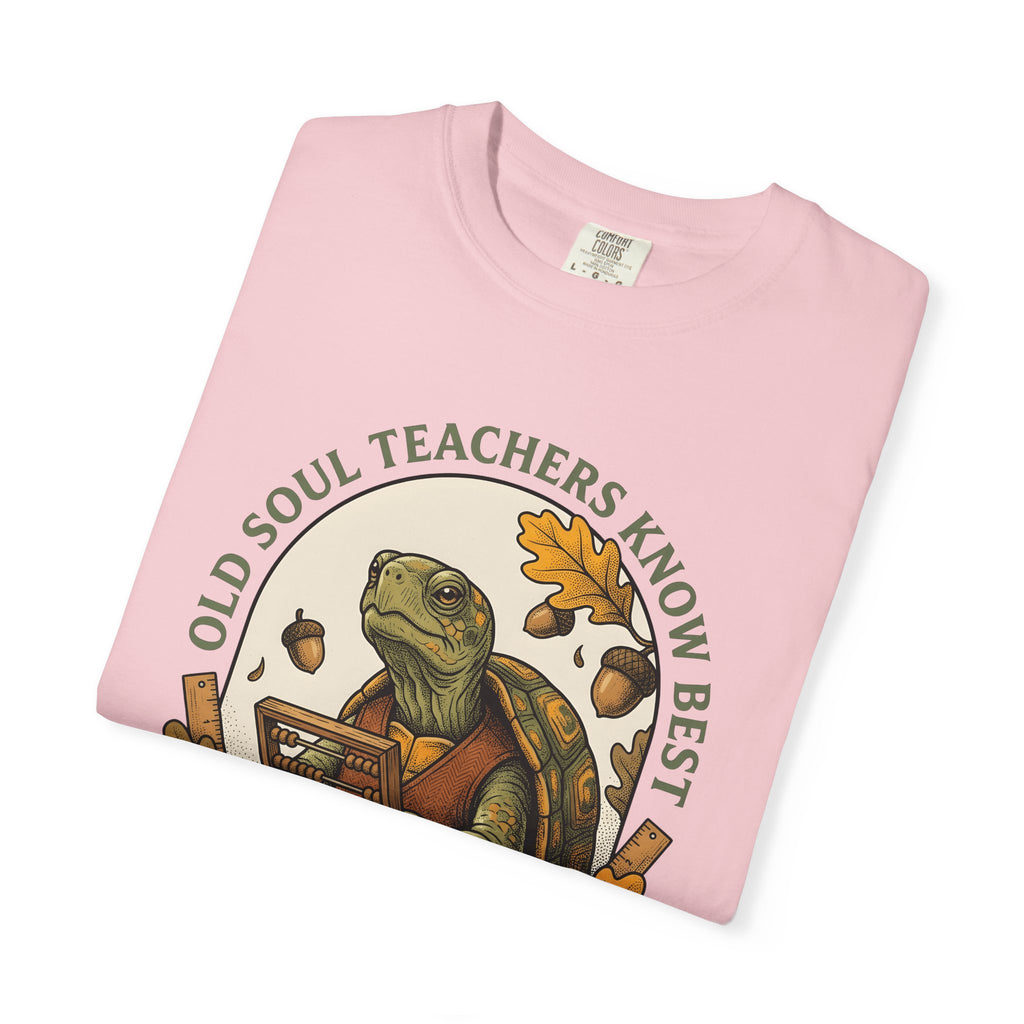 Turtle Mentor Shirt Teachers Creatures Gift Women Old School Tee Tormentor T-Shirt Educator Enthusiast Retro Tshirt Animal Graphic Cartoon