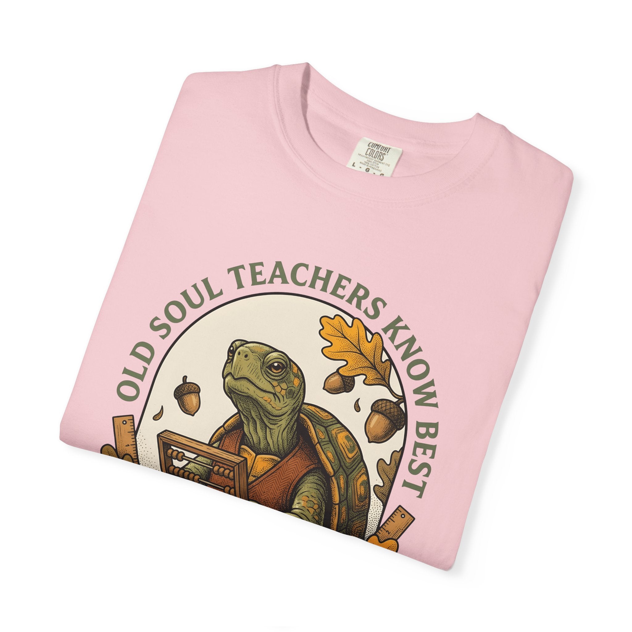 Turtle Mentor Shirt Teachers Creatures Gift Women Old School Tee Tormentor T-Shirt Educator Enthusiast Retro Tshirt Animal Graphic Cartoon