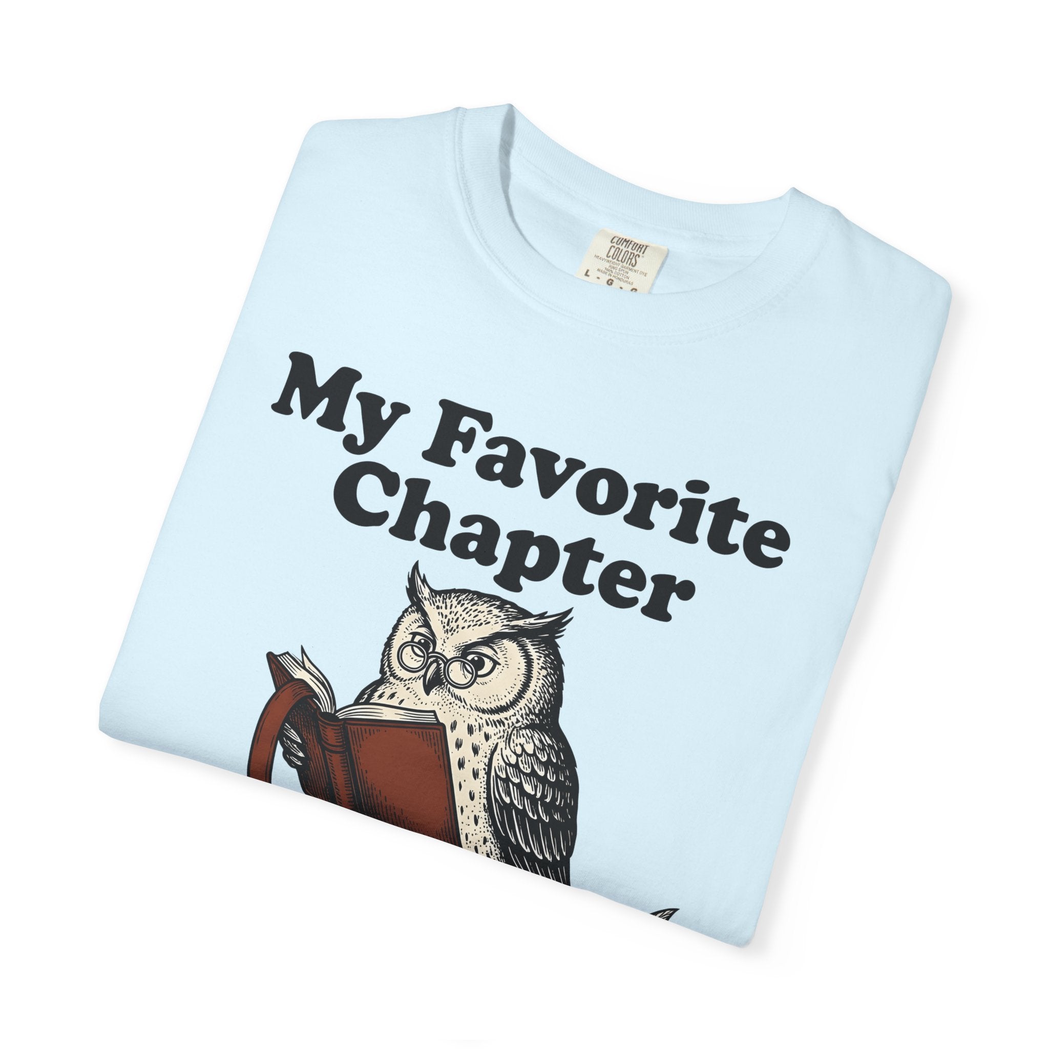 Owl Books Shirt St Valentines Day Book Gift Women Vintage Tee Book T-Shirt Valentines Day Enthusiast Retro Tshirt Bibliophile Graphic Hand
